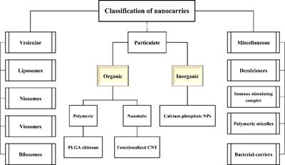 PLGA-Based Nanoplatforms in Drug Delivery for Inhibition and Destruction of Microbial Biofilm